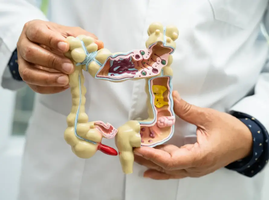 Gut & Digestive System